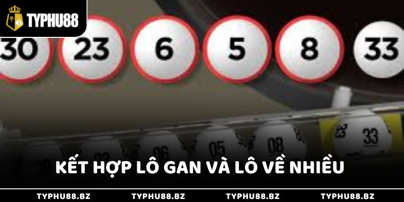 Dàn Đề 50 Số Tỷ Lệ Trúng Cực Cao Cho Lô Thủ Từ Typhu88 4 Hãy kết hợp lô gan và lô về nhiều