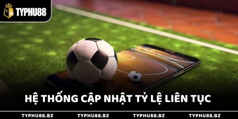 Hệ thống cập nhật tỷ lệ liên tục theo thời gian