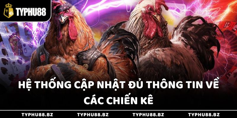 Hệ thống luôn cập nhật đầy đủ thông tin về chiến kê