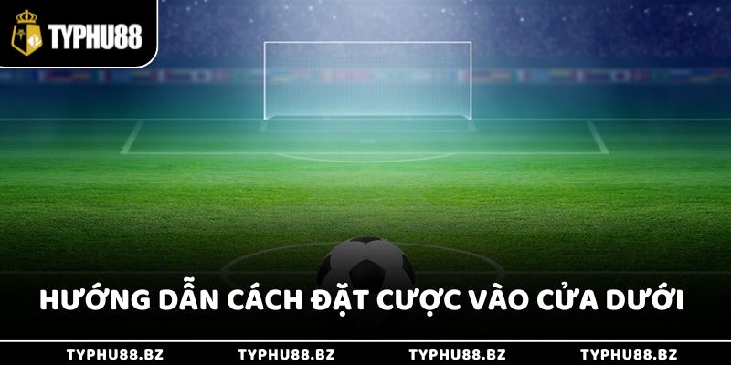 Hướng dẫn cách đặt cược vào cửa dưới