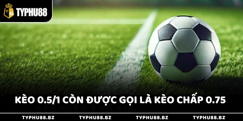 Kèo 3/4 trái là một dạng kèo châu Á, còn được gọi là kèo chấp 0.75