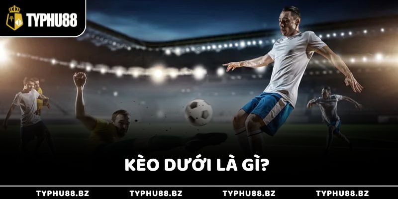 Hiểu Kèo Dưới Là Gì Cực Dễ Cho Người Mới Giúp Thắng Lớn