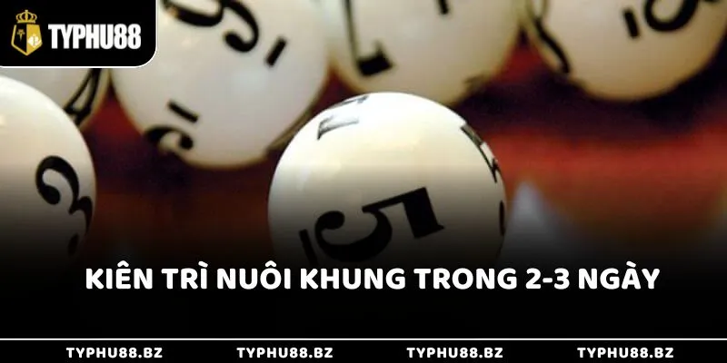 Kiên trì nuôi khung trong 2-3 ngày
