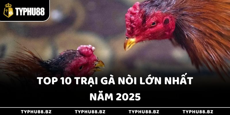 Top 10 trại gà nòi lớn nhất năm 2025